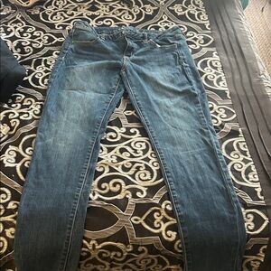 American Eagle Dark and Light Blue Denim Jeans